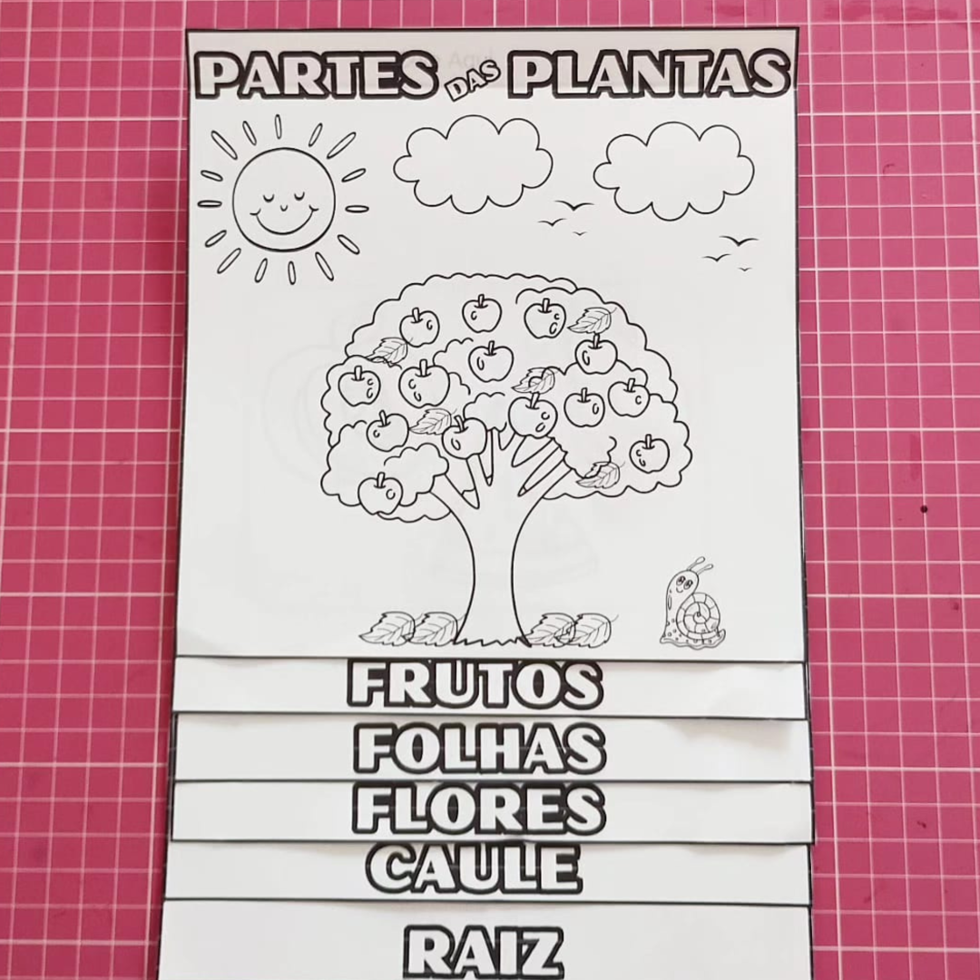 Lapbook das partes da planta